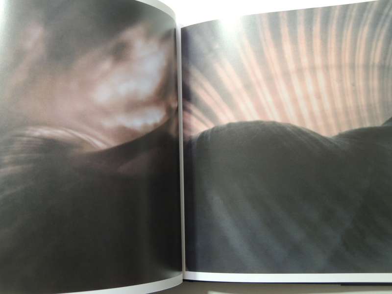 Aaron Rose Photographs - Aaron Rose