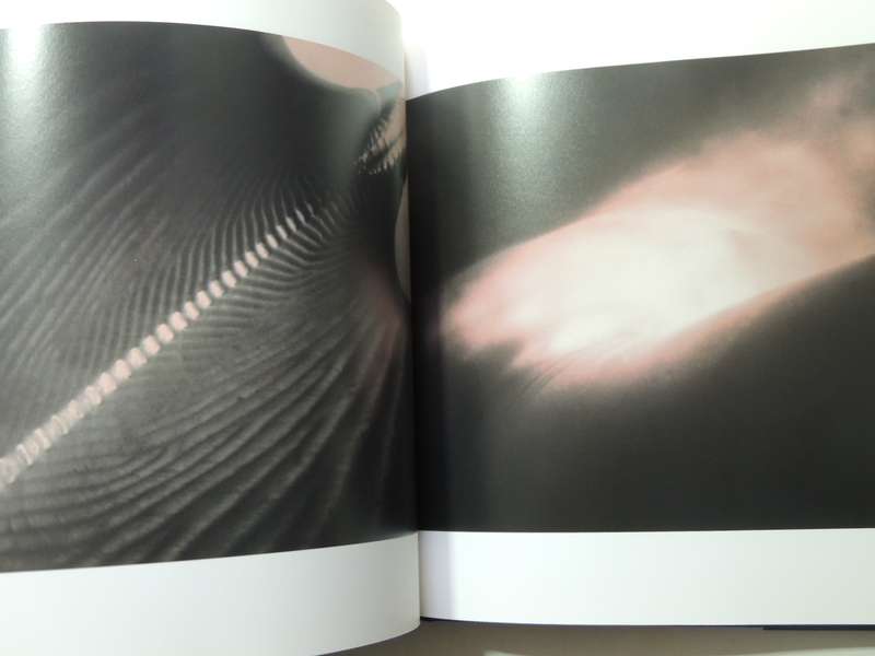 Aaron Rose Photographs - Aaron Rose