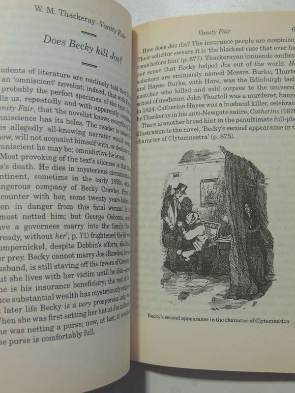 Is Heathcliff A Murderer?: Puzzles In 19th-Century Fiction - John Sutherland