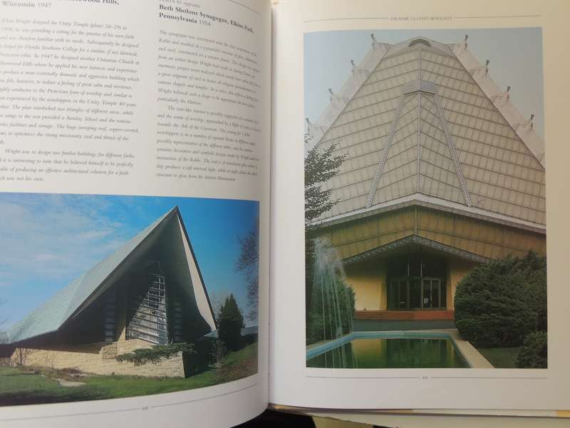 Frank Lloyd Wright- Trewin Copplestone