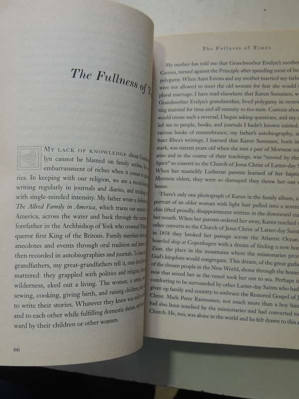 Daughter Of The Saints: Growing Up In Polygamy - Dorothy Allred Solomon