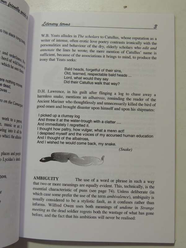 Your Friendly Guide To Literary Terms - J.O. Hendry
