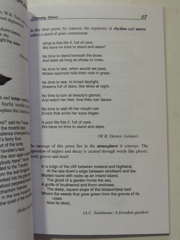 Your Friendly Guide To Literary Terms - J.O. Hendry
