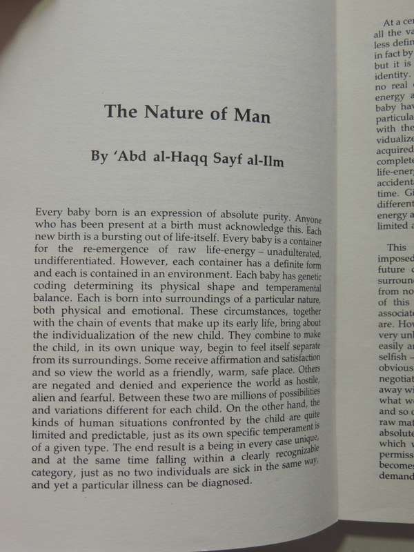 Leaves From A Sufi Journal
