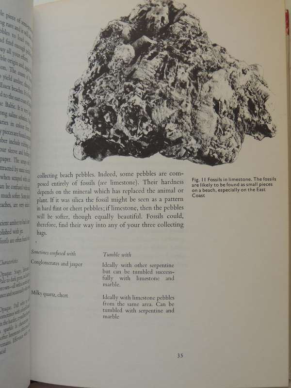 Pebble Polishing: A Guide To Collecting, Tumble Polishing And Making Baroque Jewellery Edward Fletch