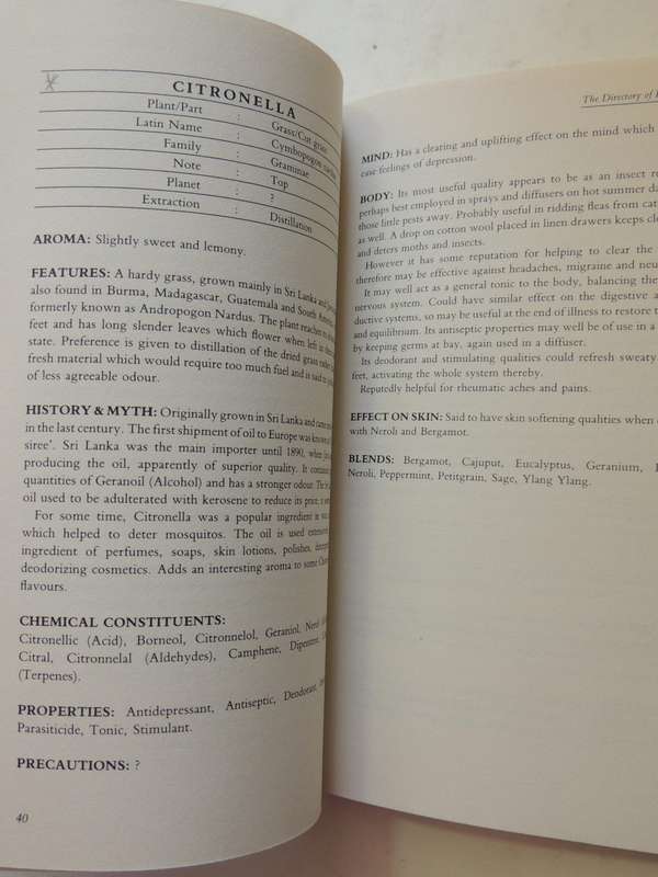The Directory Of Essential Oils - Wanda Sellar