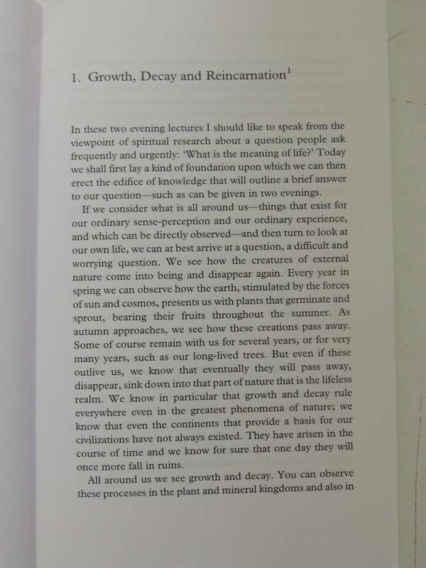 The Meaning Of Life And Other Lectures On Fundamental Issues - Rudolf Steiner