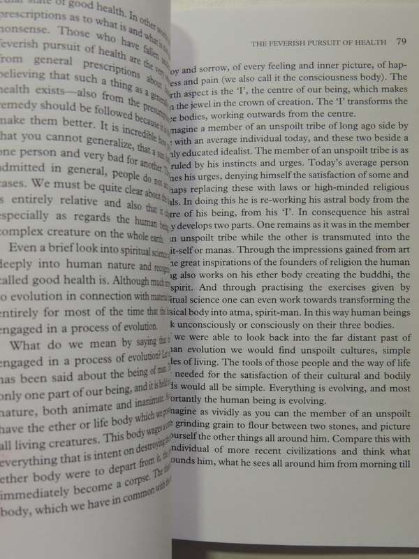 The Meaning Of Life And Other Lectures On Fundamental Issues - Rudolf Steiner