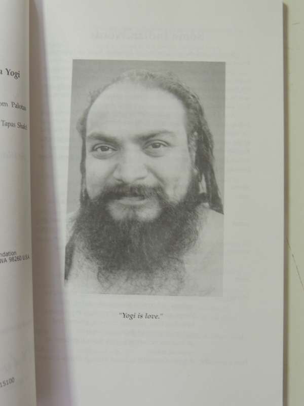 Divine Play: The Silent Teachings Of Shiva Bala Yogi - Tom Palotas