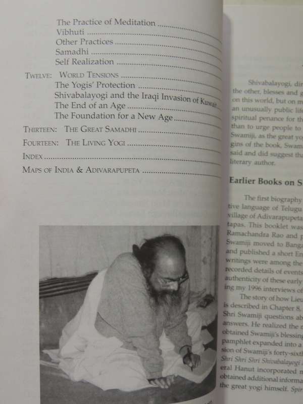 Divine Play: The Silent Teachings Of Shiva Bala Yogi - Tom Palotas