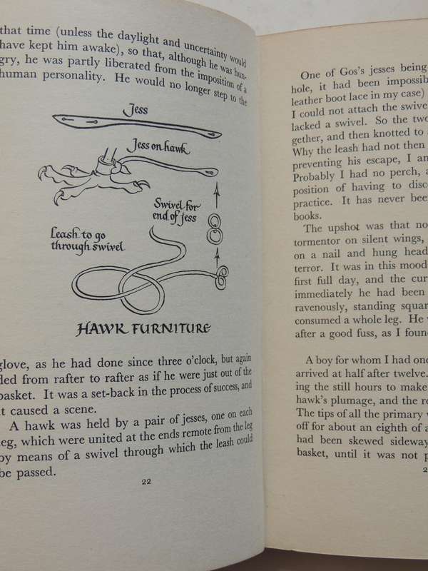 The Goshawk - T.H. White   1st Edition  1951