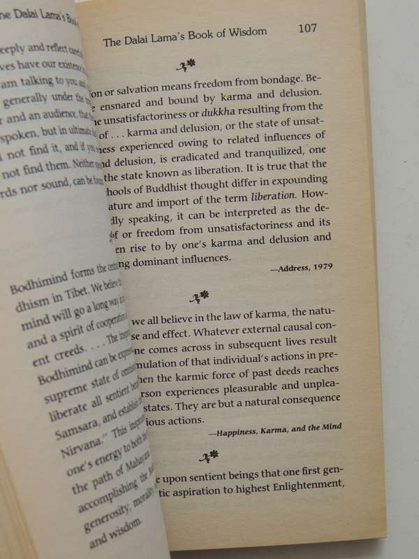 The Dalai Lama's Book of Wisdom, Insights on Daily Living, Compassion & Justice -Ed Matthew E Bunson