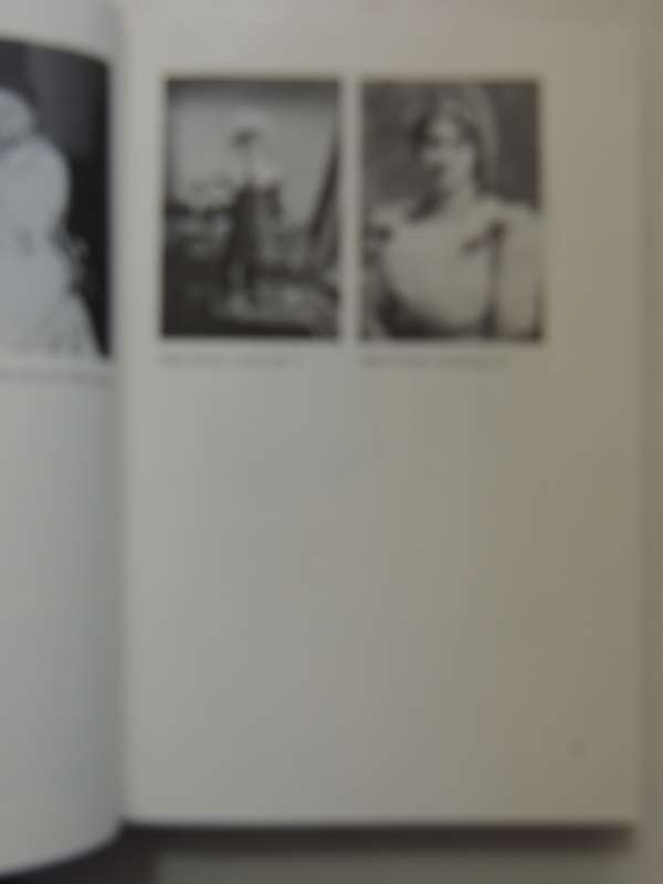 Mabel Dodge Luhan: New Woman, New Worlds - Lois Palken Rudnick