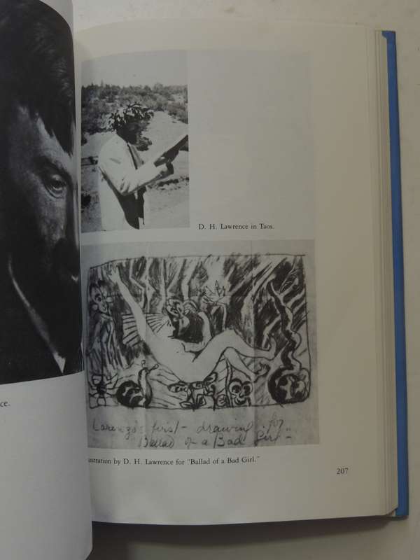 Mabel Dodge Luhan: New Woman, New Worlds - Lois Palken Rudnick