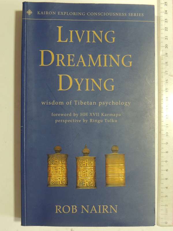 Living Dreaming Dying: Wisdom Of Tibetan Psychology - Rob Nairn