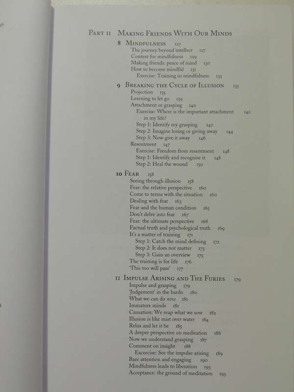 Living Dreaming Dying: Wisdom Of Tibetan Psychology - Rob Nairn