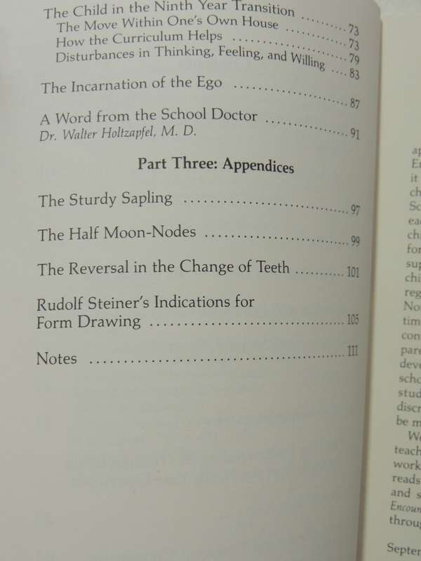 Encountering The Self: Transformation & Destiny In The Ninth Year - Hermann Koepke