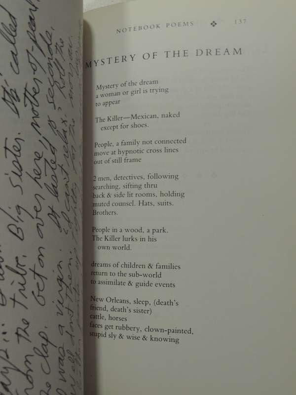 The American Night: The Writings Of Jim Morrison- Jim Morrison