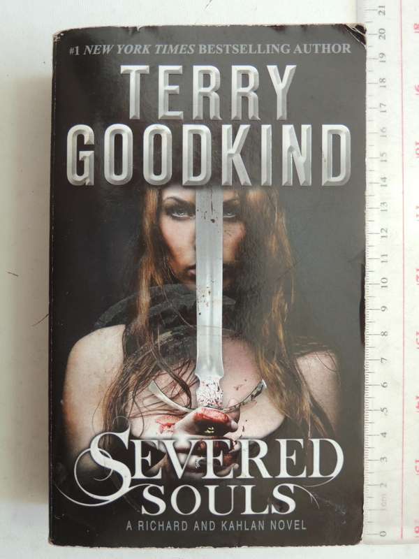 Severed Souls - Terry Goodkind