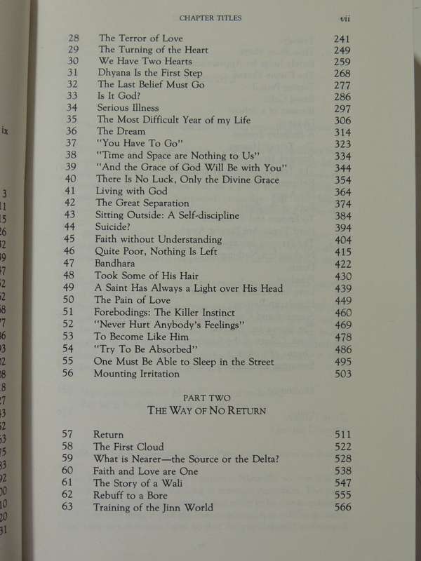 Daughter Of Fire: A Diary Of A Spiritual Training With A Sufi Master - Irina Tweedie