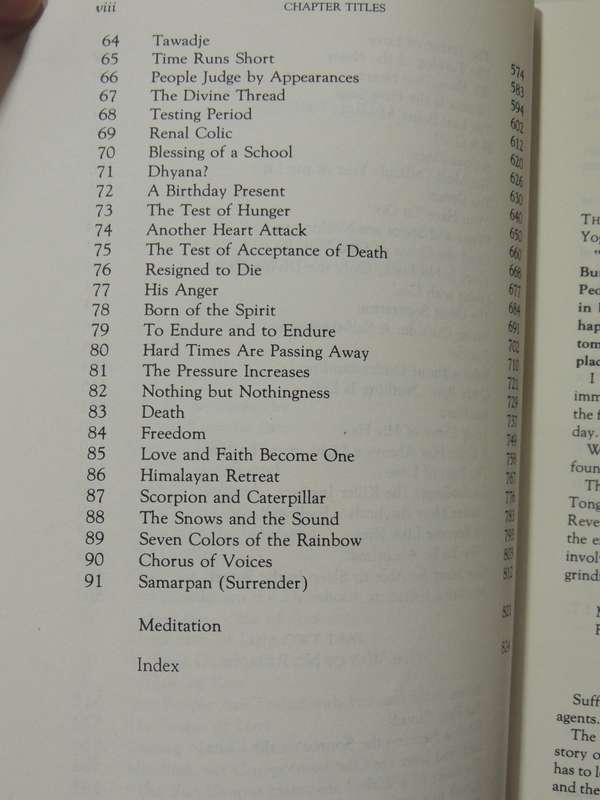 Daughter Of Fire: A Diary Of A Spiritual Training With A Sufi Master - Irina Tweedie