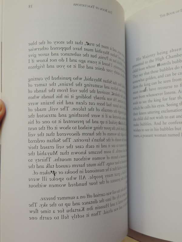 The Book Of Disappearances / Book Of TractationsRaul Ruiz