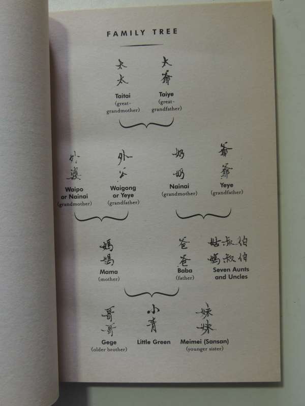 Little Green: A Memoir Of Growing Up During The Chinese Cultural Revolution - Cun Yu