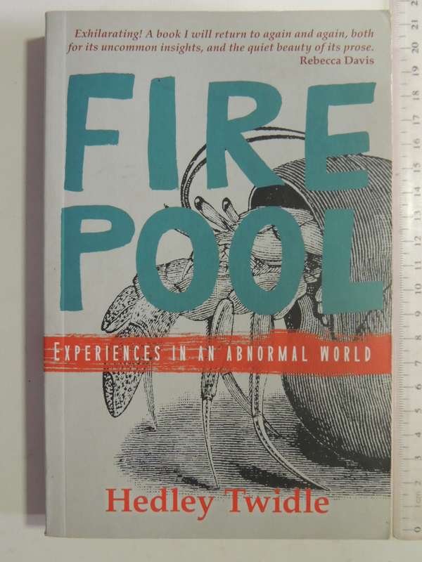 Firepool: Experiences In An Abnormal World - Hedley Twidle