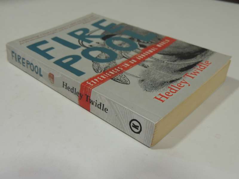 Firepool: Experiences In An Abnormal World - Hedley Twidle