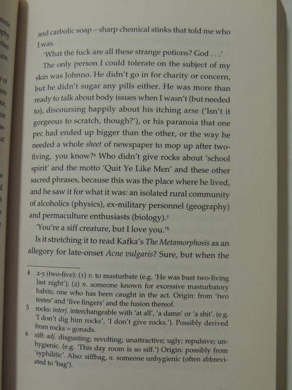 Firepool: Experiences In An Abnormal World - Hedley Twidle