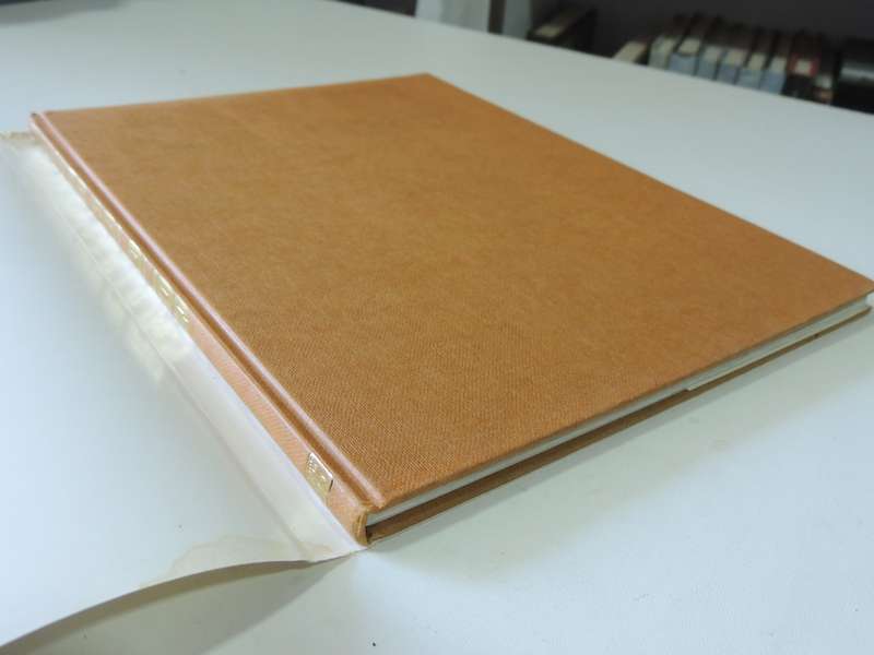Panzer Colours- Camouflage Of The German Panzer Forces 1939-45  Bruce Culver & Bill Murphy