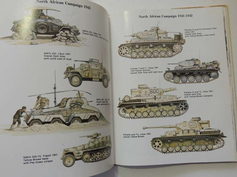 Panzer Colours- Camouflage Of The German Panzer Forces 1939-45  Bruce Culver & Bill Murphy