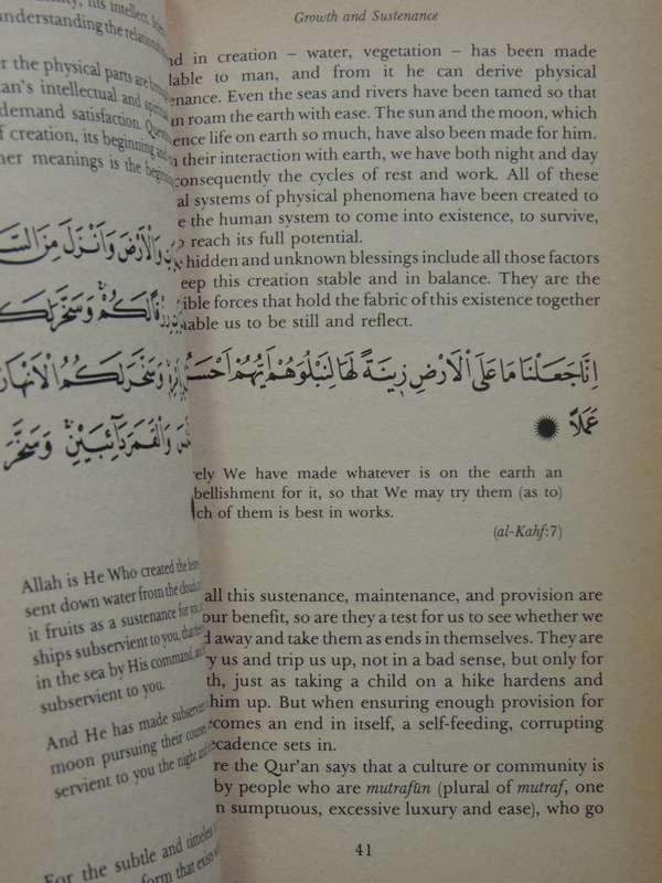 Journey To The Universe As Expounded In The Qur'an - Shaykh Fadhlalla Haeri
