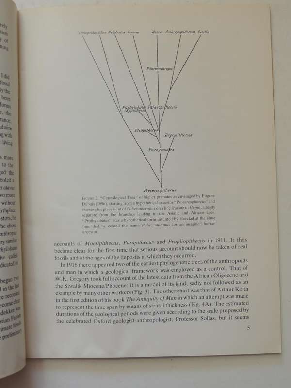 Raymond Dart Lectures 21 Changing Perspectives On The Age Of Man A Geologist's Personal ViewH Cooke