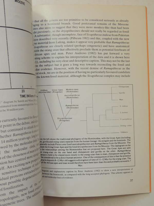 Raymond Dart Lectures 21 Changing Perspectives On The Age Of Man A Geologist's Personal ViewH Cooke