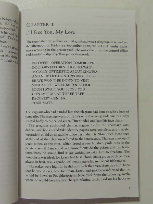 I Have America Surrounded: The Life Of Timothy Leary- John Higgs