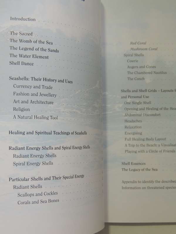 The Healing Power Of Seashells - Daya Sarai Chocron