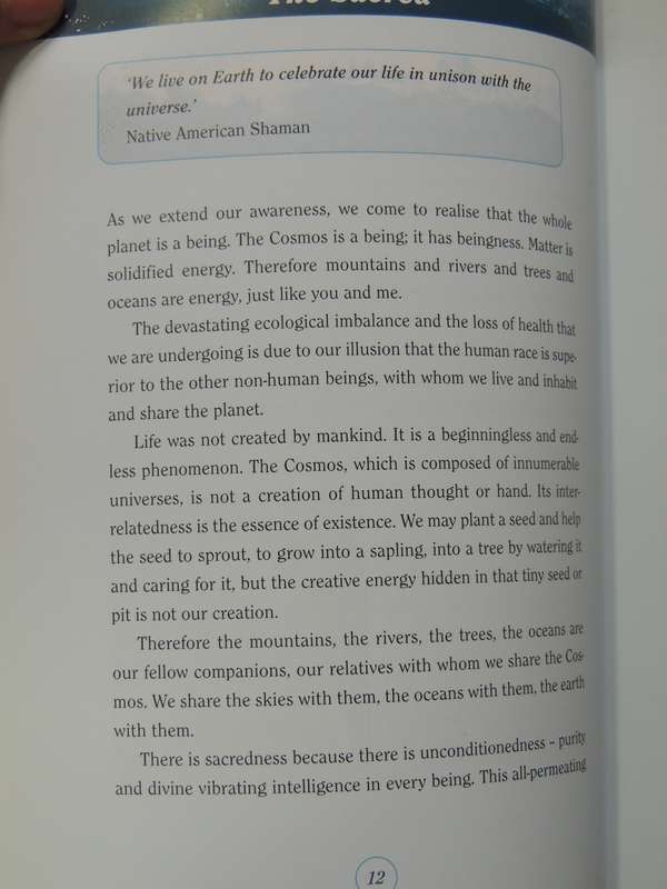 The Healing Power Of Seashells - Daya Sarai Chocron