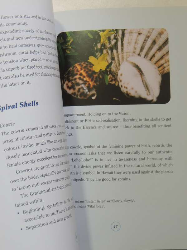 The Healing Power Of Seashells - Daya Sarai Chocron