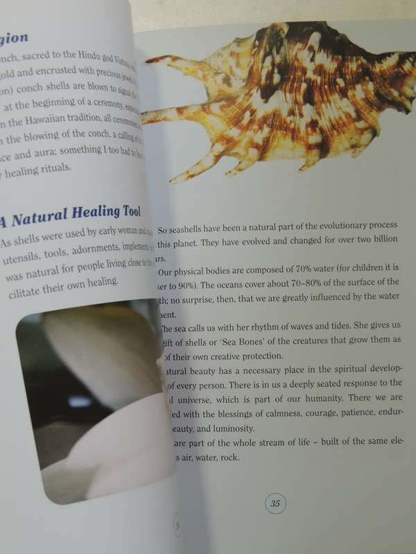 The Healing Power Of Seashells - Daya Sarai Chocron