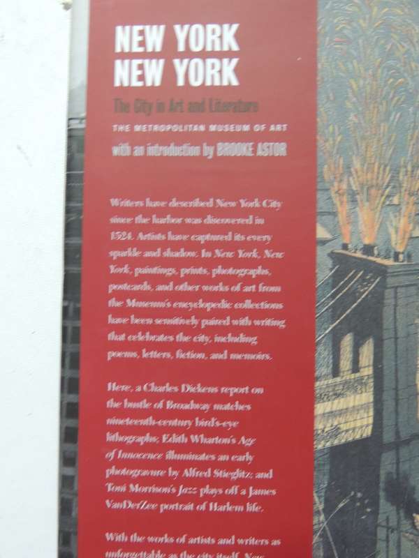 New York New York: The City In Art And Literature - various