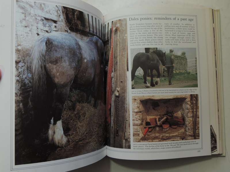 The Best Of James Herriot: Favourite Memories Of A Country Vet - James Herriot