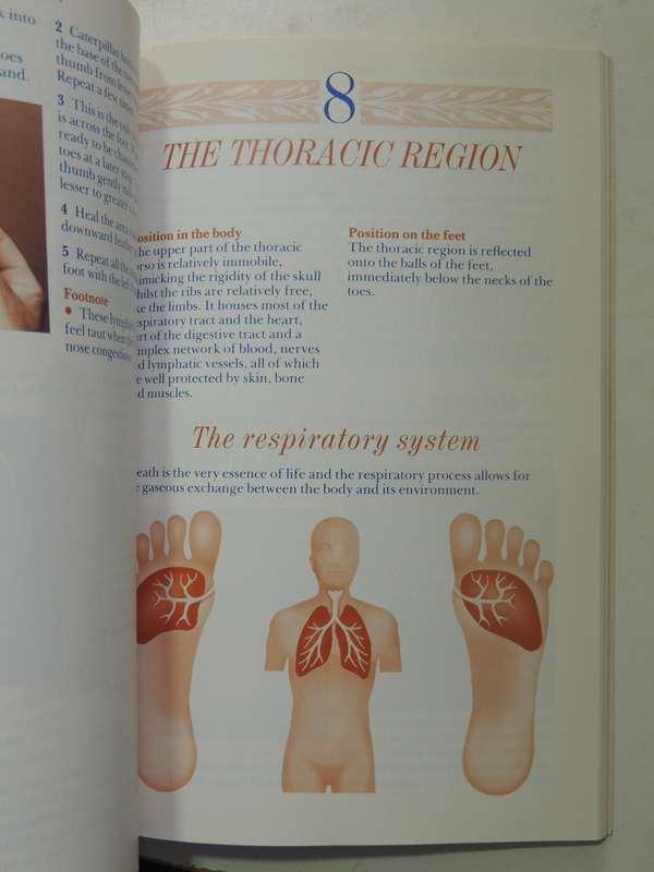Reflexology - Chris Stormer     (Inscribed)