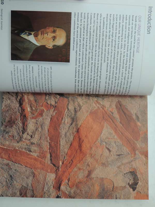 Geological Journeys: A Traveller's Guide To South Africa's Rocks and Landforms Nick Norman & Gavin W