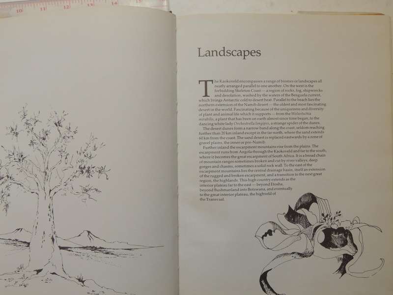 Kaokoveld: The Last Wilderness - Anthony Hall-Martin, Clive Walker & J DuP Bothma