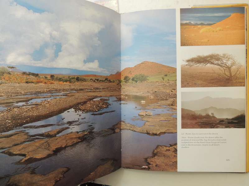 Kaokoveld: The Last Wilderness - Anthony Hall-Martin, Clive Walker & J DuP Bothma