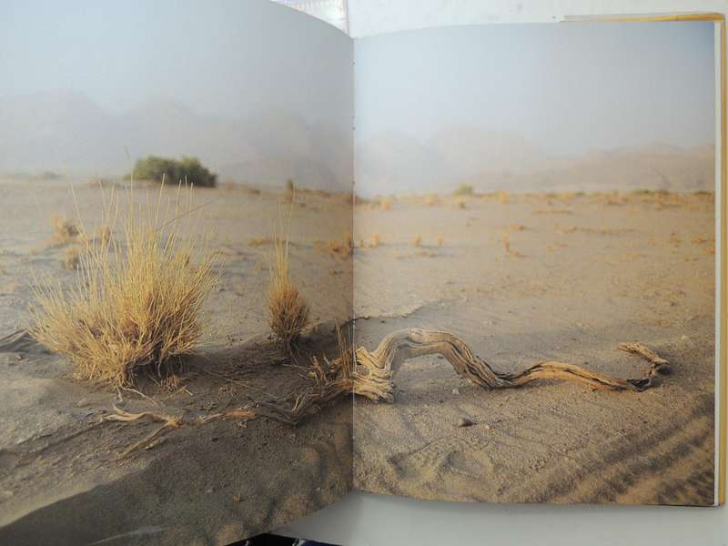 Kaokoveld: The Last Wilderness - Anthony Hall-Martin, Clive Walker & J DuP Bothma