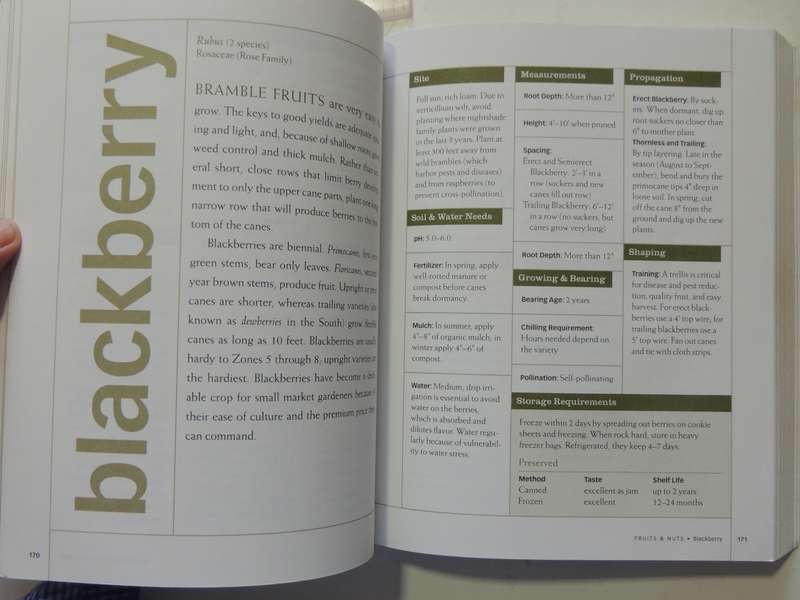 The Gardener's A-Z Guide to Growing Organic Food - Tanya L K Denckla