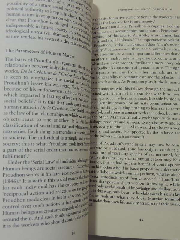 Demanding The Impossible? Human Nature &Politics In 19th-Century Social Anarchism  - David Morland