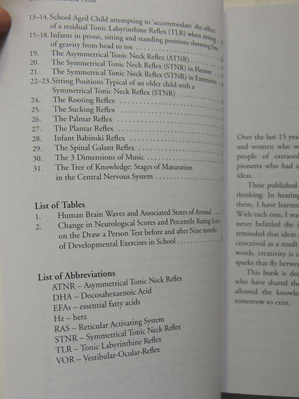 The Well Balanced Child: Movement And Early Learning - Sally Goddard Blythe